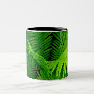 Fern Mug