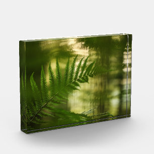 Fern Nature Photo Block
