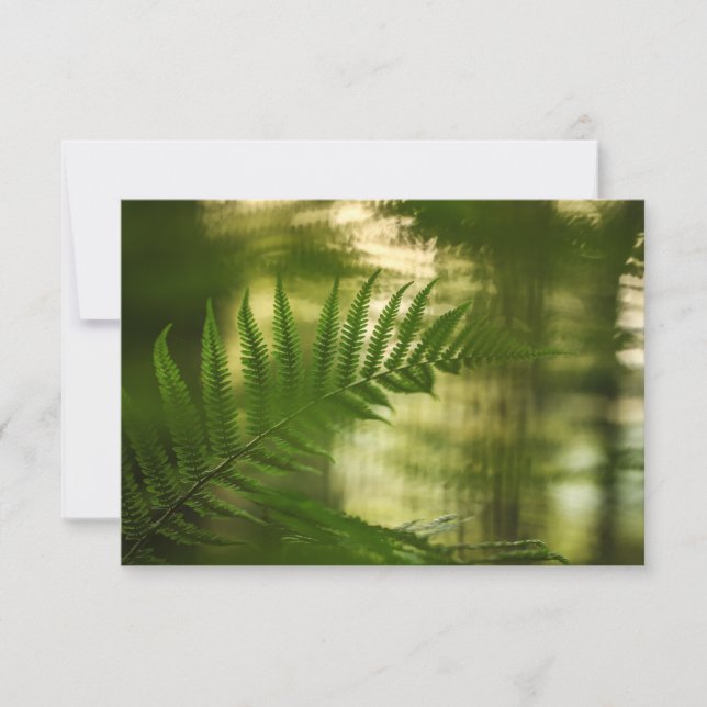 Fern Nature Photo Card (Front)