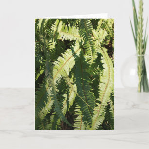 "Fern patterns" note card