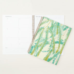 Fern Planner