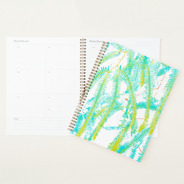 Fern Planner (Display)
