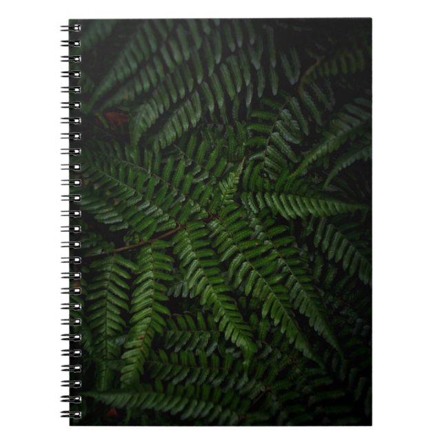 Fern plant notebook (Front)