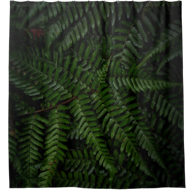 Fern plant shower curtain (Front)