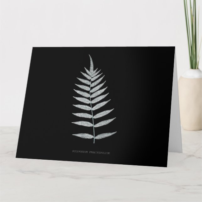 Fern - Polypodyum Fraxinifolium - X-ray effect -08 Thank You Card (Front)