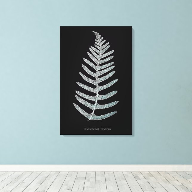 Fern - Polypodyum Vulgare - X-ray effect - 09 Canvas Print (Insitu(Wood Floor))