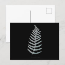 Fern - Polypodyum Vulgare - X-ray effect - 09