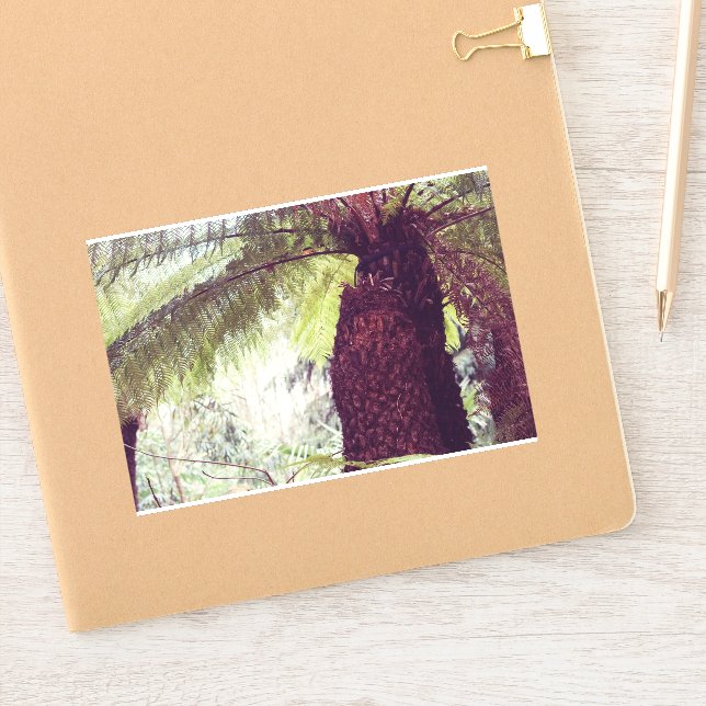 Fern Rainforest (Notebook)