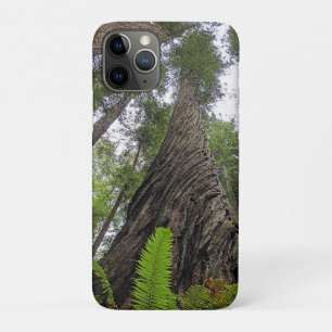 Fern Reaching To Sky Along Redwood's Swirled Bark Case-Mate iPhone Case