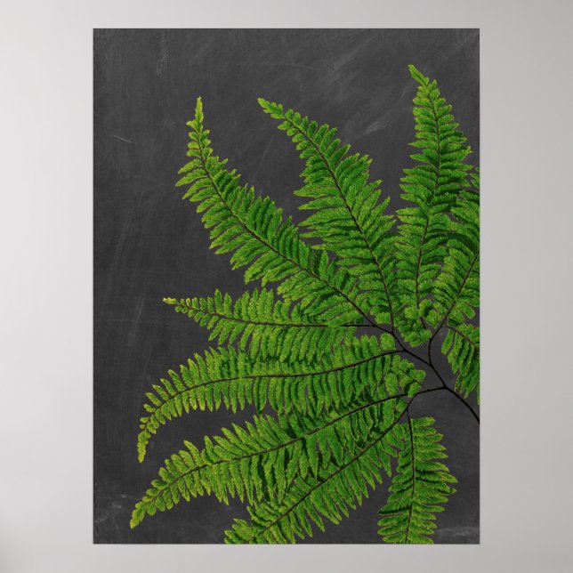 Fern sign w/ Chalkboard Background no. 5 (Front)