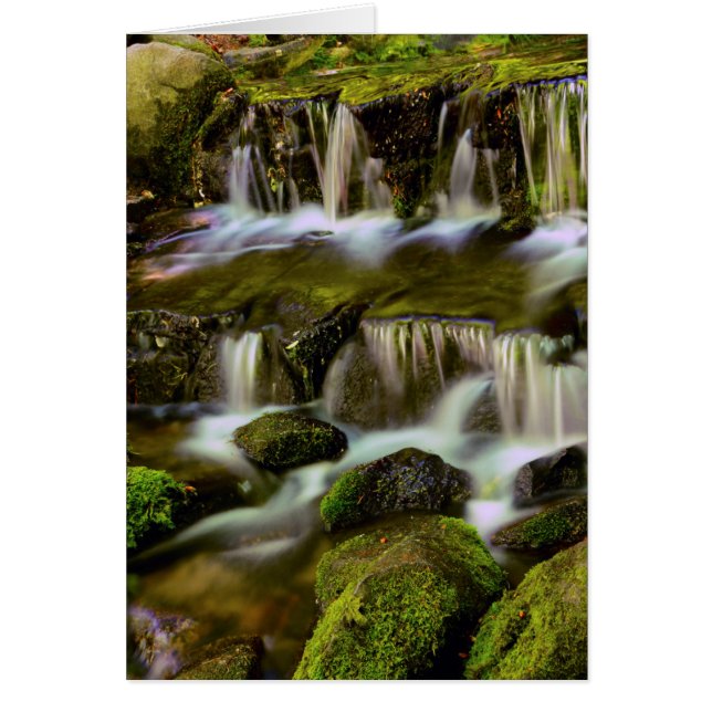 Fern Spring, Yosemite National Park, California (Front)