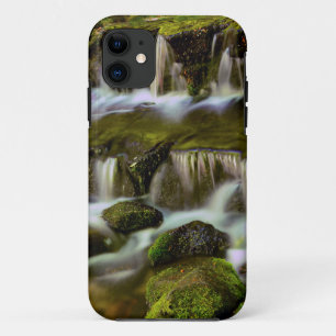 Fern Spring, Yosemite National Park, California Case-Mate iPhone Case