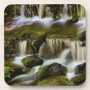 Fern Spring, Yosemite National Park, California Coaster