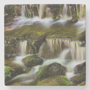 Fern Spring, Yosemite National Park, California Stone Coaster