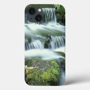 Fern Spring, Yosemite National Park iPhone 13 Case