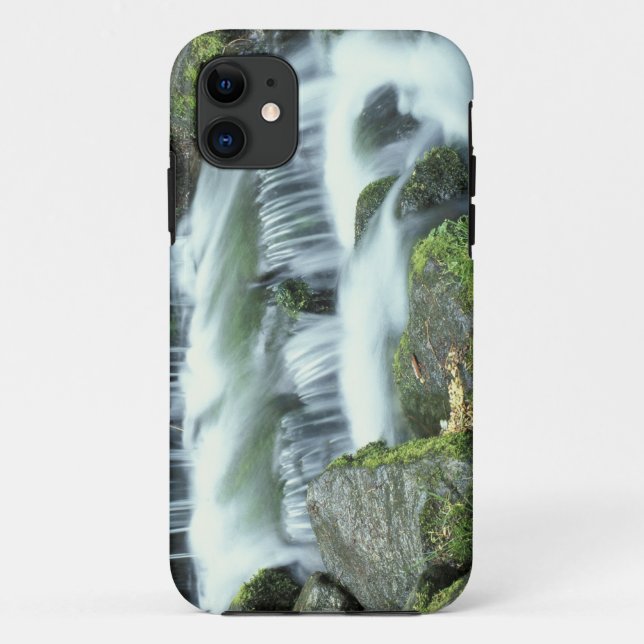 Fern Spring, Yosemite National Park Case-Mate iPhone Case (Back)