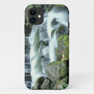 Fern Spring, Yosemite National Park iPhone 11 Case
