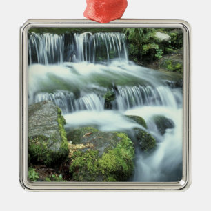 Fern Spring, Yosemite National Park Metal Tree Decoration