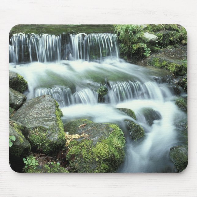 Fern Spring, Yosemite National Park Mouse Pad (Front)