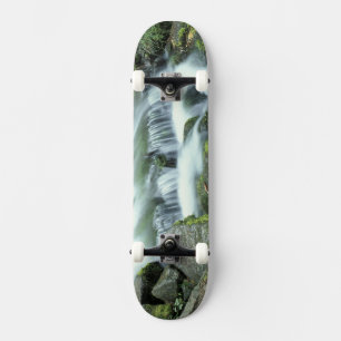 Fern Spring, Yosemite National Park Skateboard