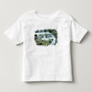 Fern Spring, Yosemite National Park Toddler T-Shirt