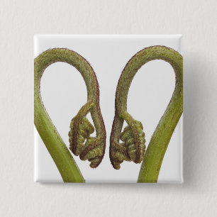 Fern sprouts 2 15 cm square badge