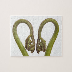 Fern sprouts 2 jigsaw puzzle
