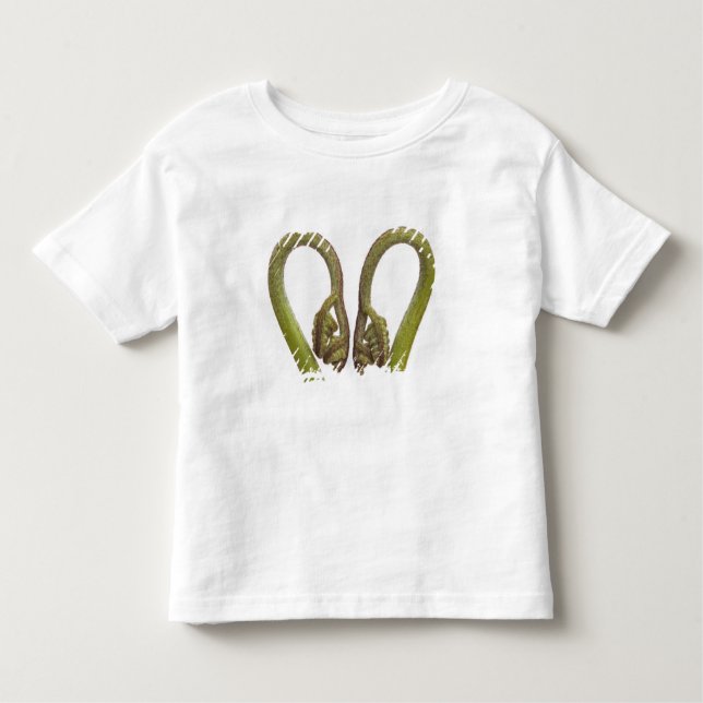 Fern sprouts 2 toddler T-Shirt (Front)