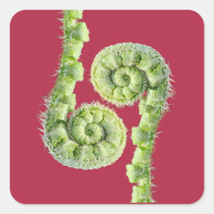 Fern Square Sticker