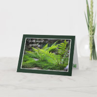 Fern Sympathy