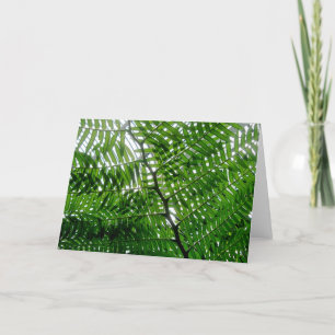 Fern Tree Note Card
