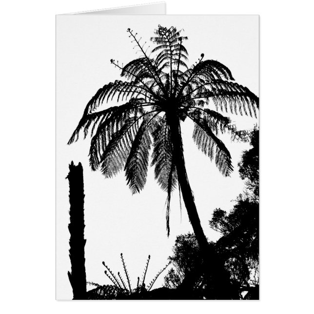Fern Trees, Silver Fern Silhouette / New Zealand (Front)