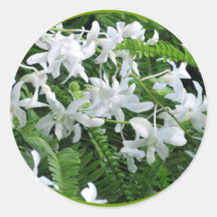 Ferns and Flowers Sticker