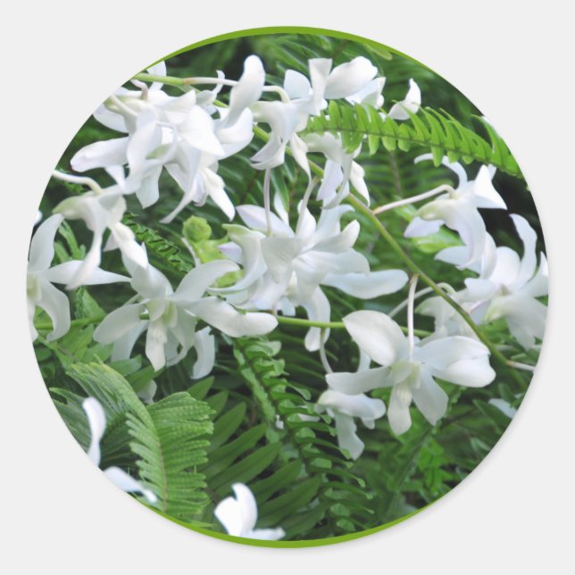 Ferns and Flowers Sticker (Front)