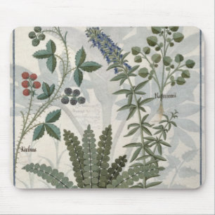 Ferns, Brambles and Flowers Mouse Pad