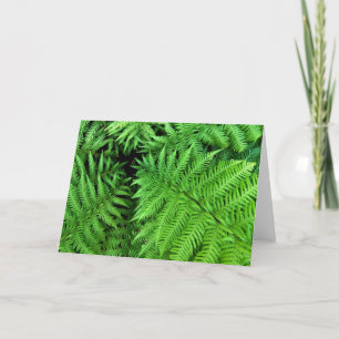 Ferns Card