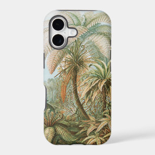 Ferns, Filicinae Laubfarne by Ernst Haeckel