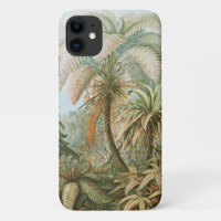 Ferns, Filicinae Laubfarne by Ernst Haeckel