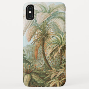 Ferns, Filicinae Laubfarne by Ernst Haeckel Case-Mate iPhone Case