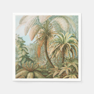 Ferns, Filicinae Laubfarne by Ernst Haeckel Napkin