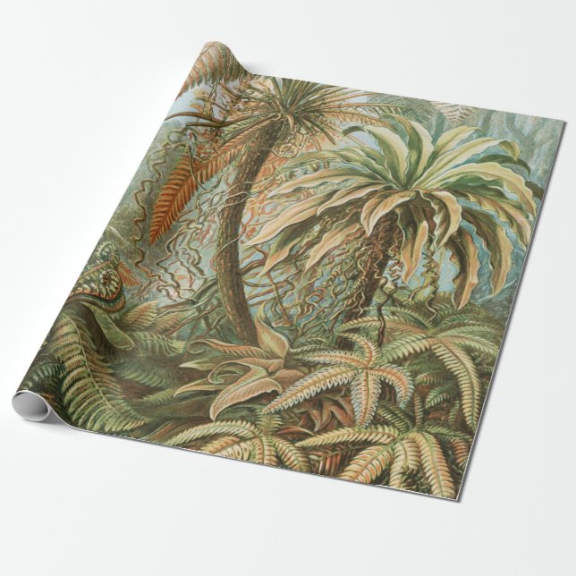 Ferns, Filicinae Laubfarne by Ernst Haeckel Wrapping Paper (Unrolled)