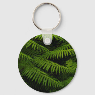 Ferns - Fine Art Photograph  Key Ring