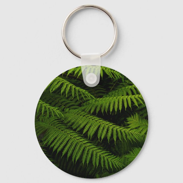 Ferns - Fine Art Photograph  Key Ring (Front)