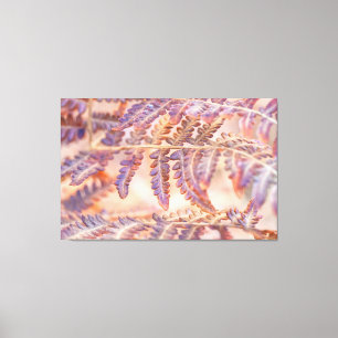 Ferns in Autumn Canvas Print