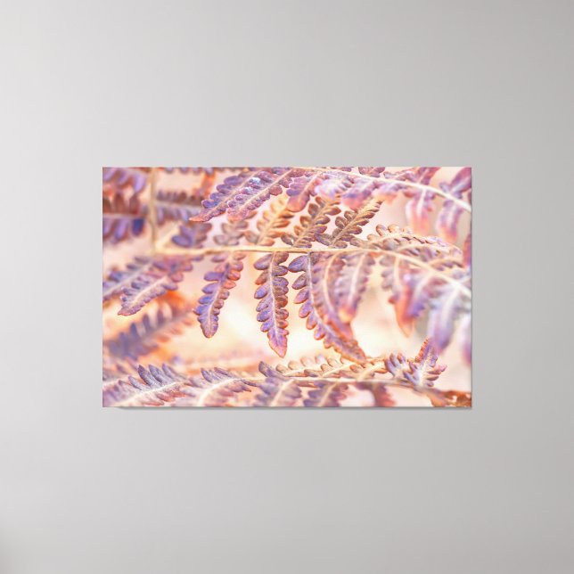 Ferns in Autumn Canvas Print (Front)