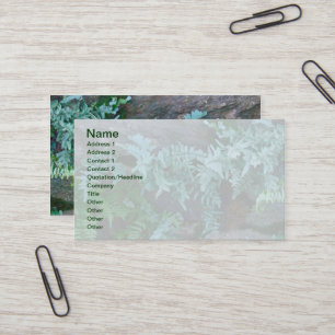 Ferns in Philadelphia Business Card