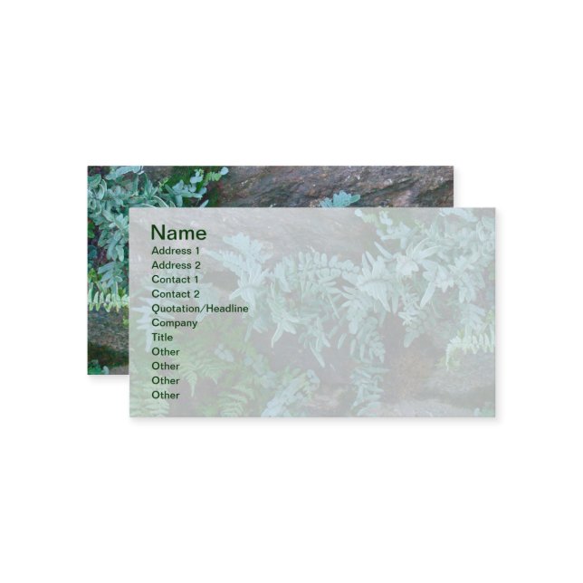 Ferns in Philadelphia Business Card (Front/Back In Situ)