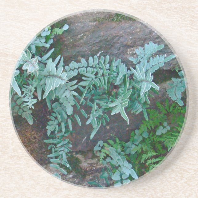 Ferns in Philadelphia Coaster (Front)