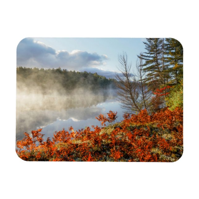 Ferns on Shoreline | Paradise, Michigan Magnet (Horizontal)
