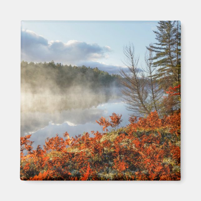 Ferns on Shoreline | Paradise, Michigan Magnet (Front)